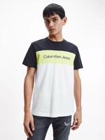 Calvin Klein pánské tričko Colour Block