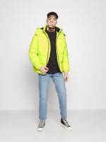 Tommy Jeans pánská neonová zimní bunda - L (LSE)